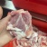 肥猪肉前前骨