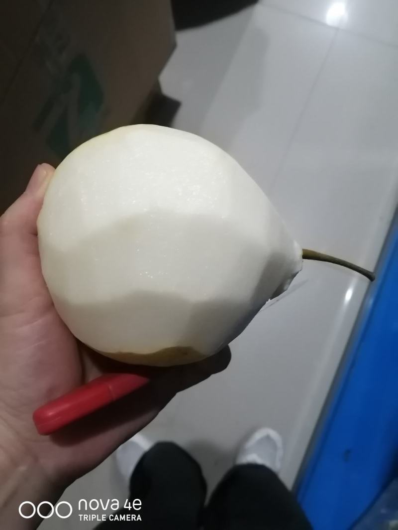 圆黄梨