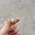 石硖龙眼，自己家种的，又甜又脆，欢迎采购