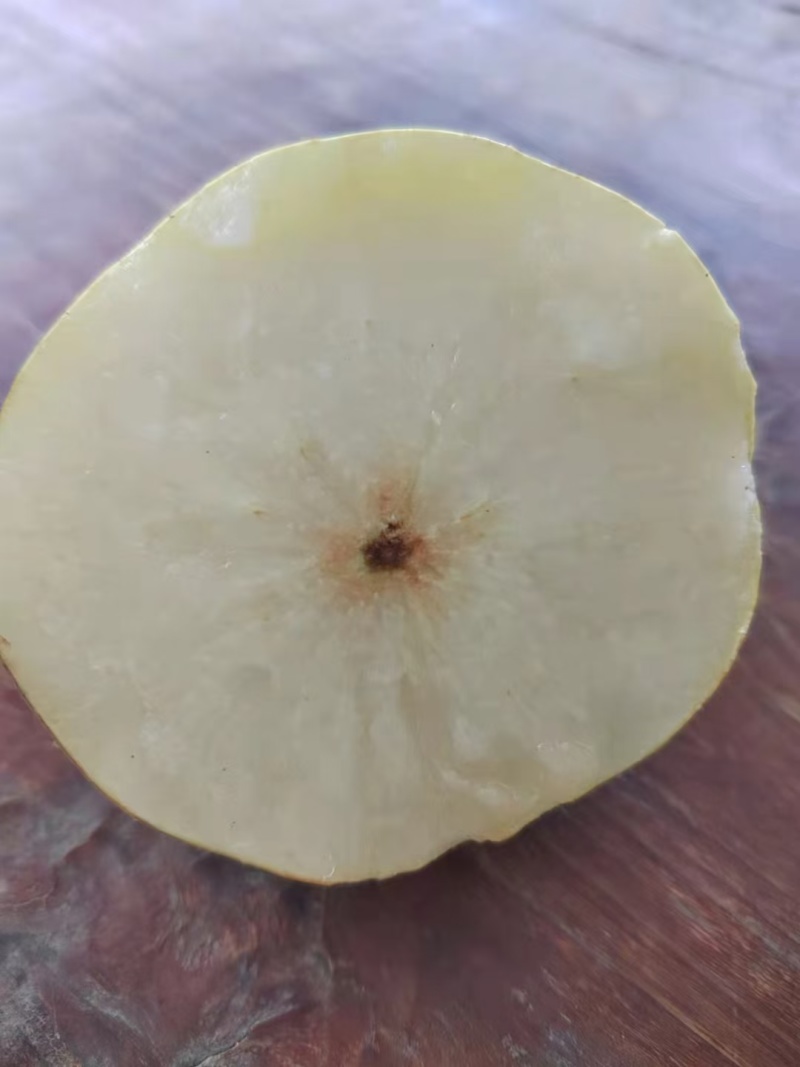 早脆蜜梨