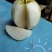 早脆蜜梨