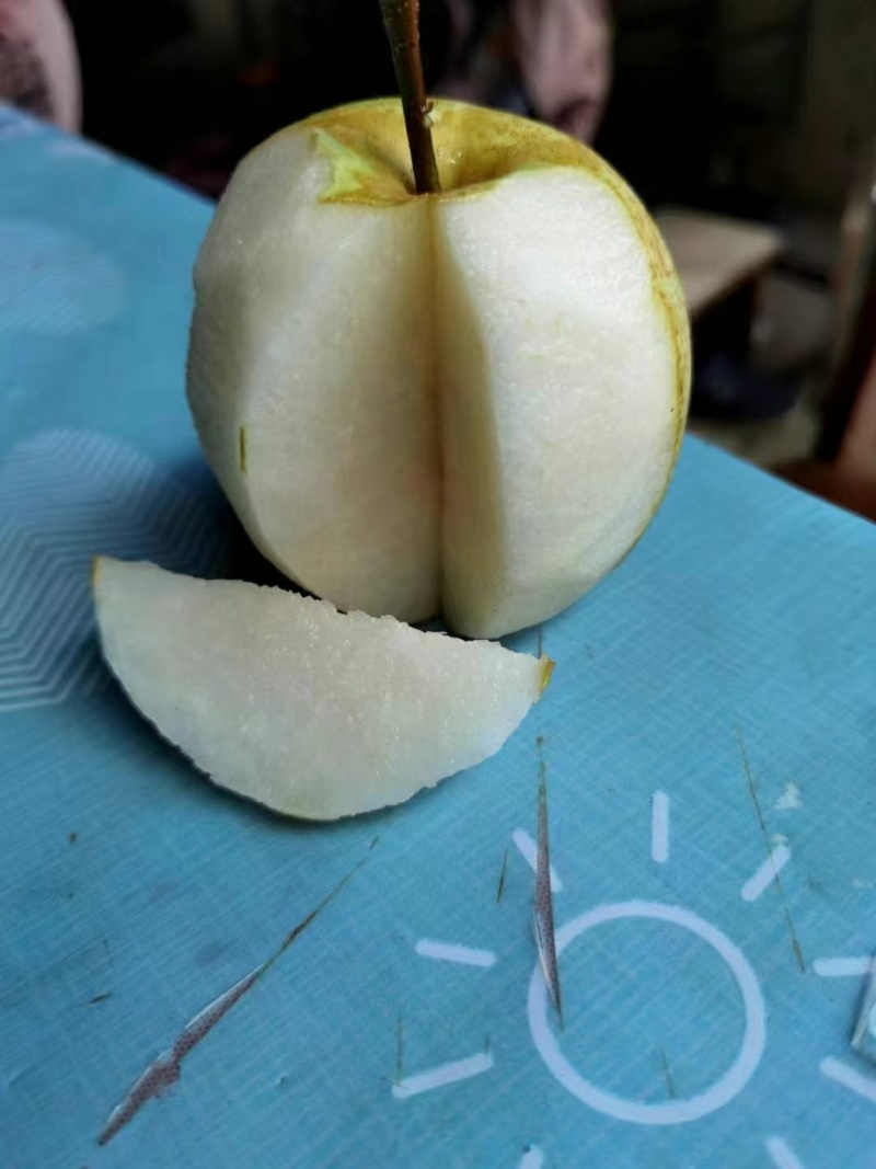 早脆蜜梨