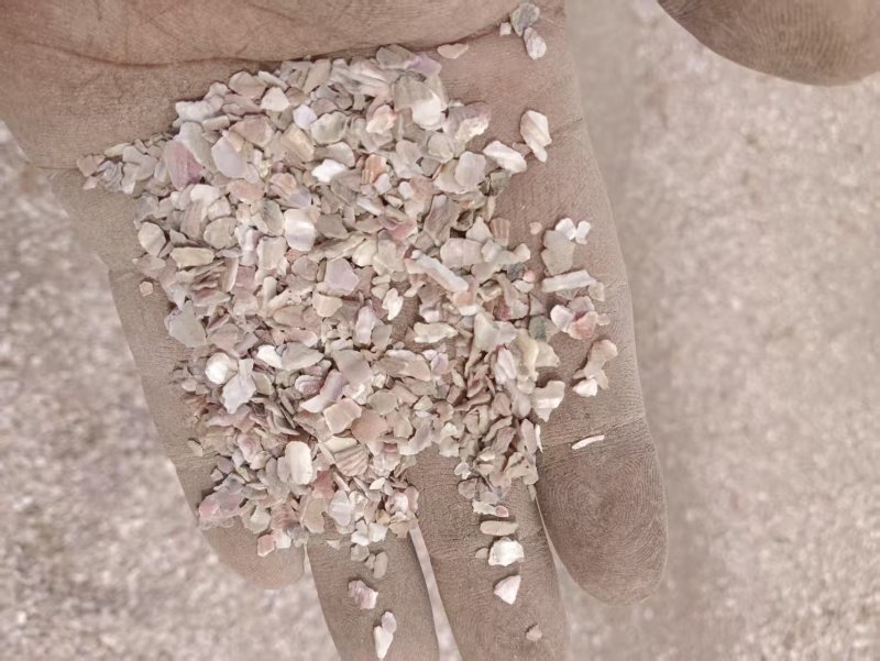 彩色贝壳粉