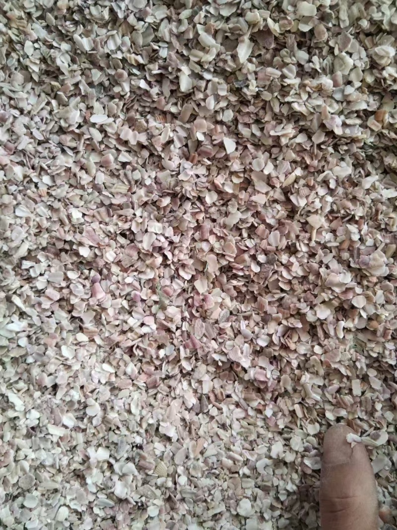 彩色贝壳粉