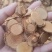 藤梨根中药材干货无杂质量大从优