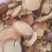 藤梨根中药材干货无杂质量大从优