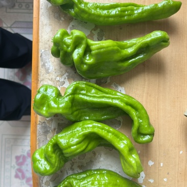 螺丝椒，芜湖椒