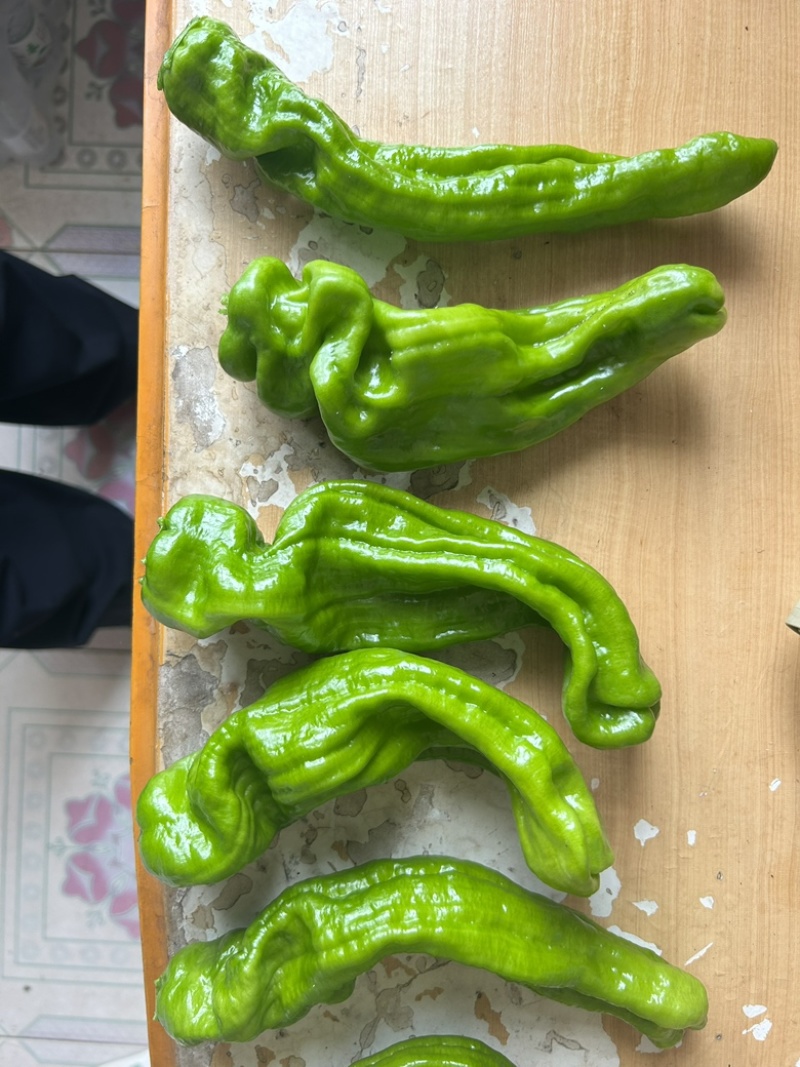 螺丝椒，芜湖椒