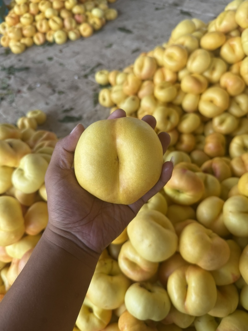 油蟠桃