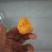 鸡黄