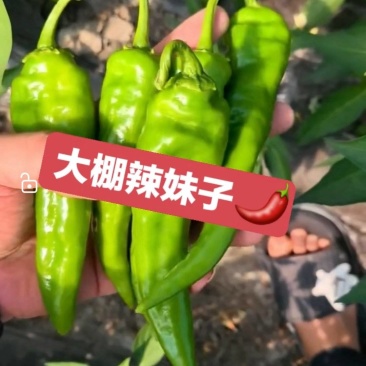 辣妹子，