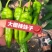 辣妹子，