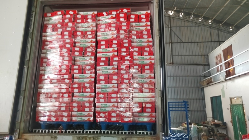 三红精品红萝卜大量供，电商，市场，商超