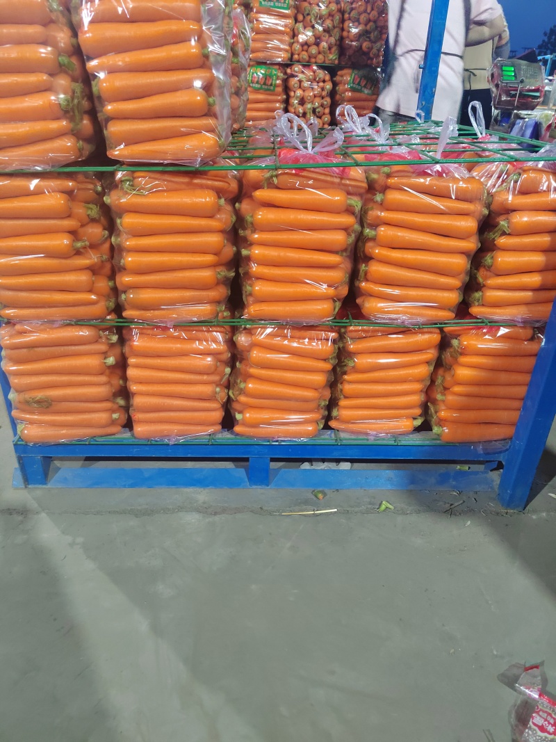 三红精品红萝卜大量供，电商，市场，商超