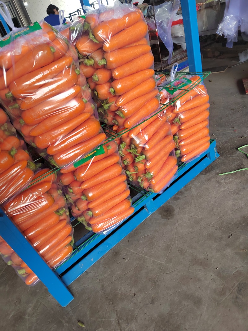 三红精品红萝卜大量供，电商，市场，商超