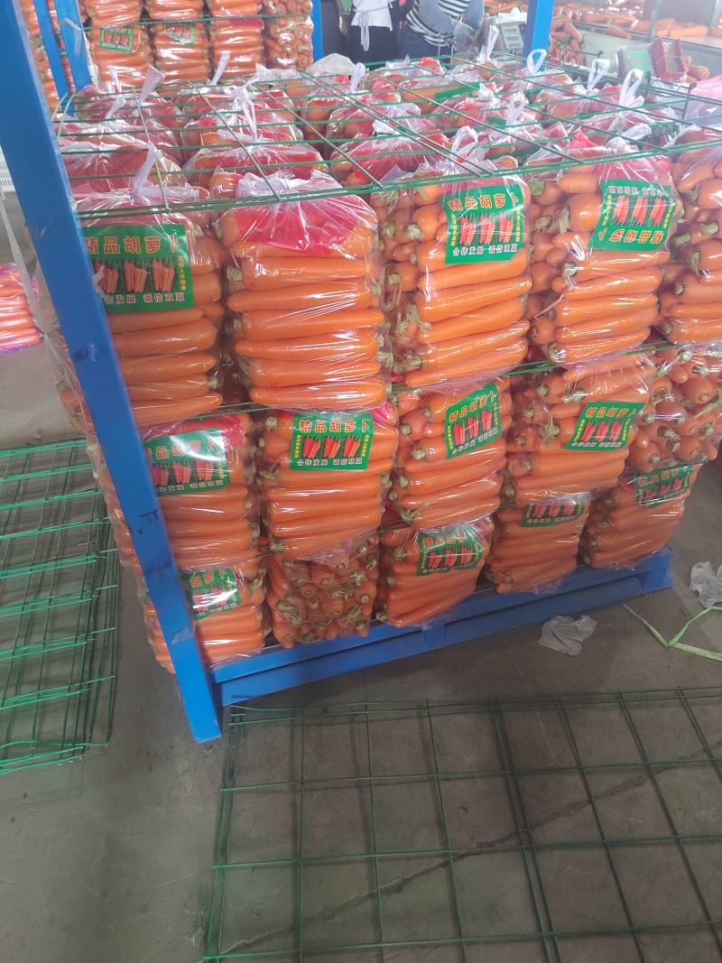三红精品红萝卜大量供，电商，市场，商超