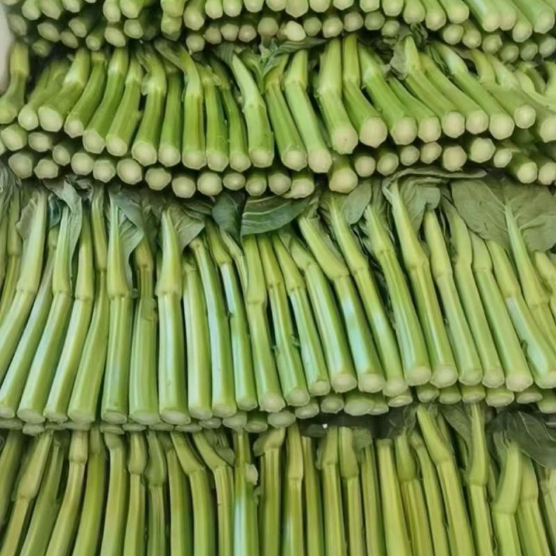 广东甜菜心农场现摘河源和平农场种植新鲜香甜菜心