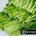 广东甜菜心农场现摘河源和平农场种植新鲜香甜菜心