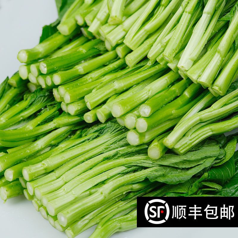 广东甜菜心农场现摘河源和平农场种植新鲜香甜菜心