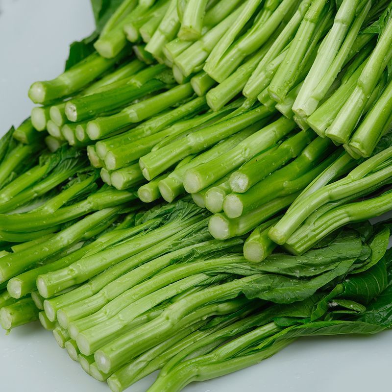 广东甜菜心农场现摘河源和平农场种植新鲜香甜菜心