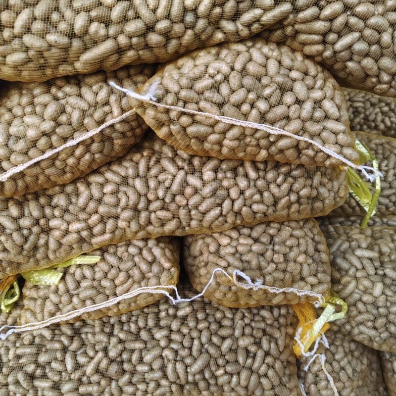 【正宗】河北小山药豆特小特好吃的一种山药豆软糯香甜