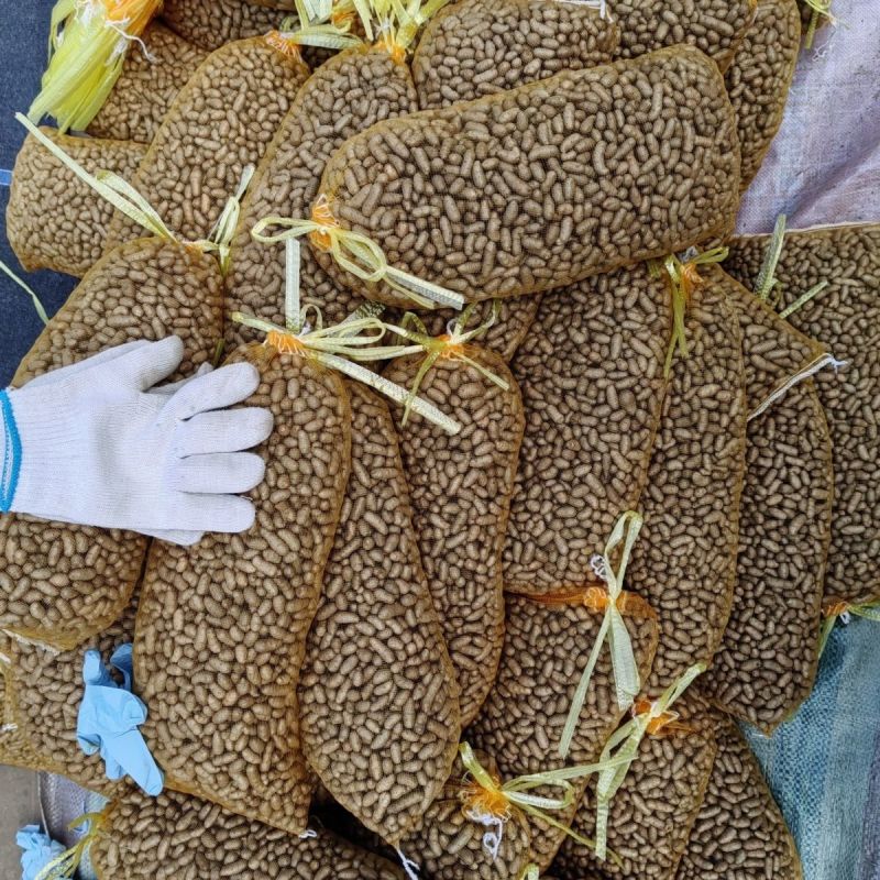 【正宗】河北小山药豆特小特好吃的一种山药豆软糯香甜