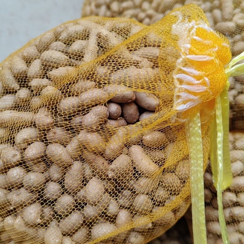 【正宗】河北小山药豆特小特好吃的一种山药豆软糯香甜