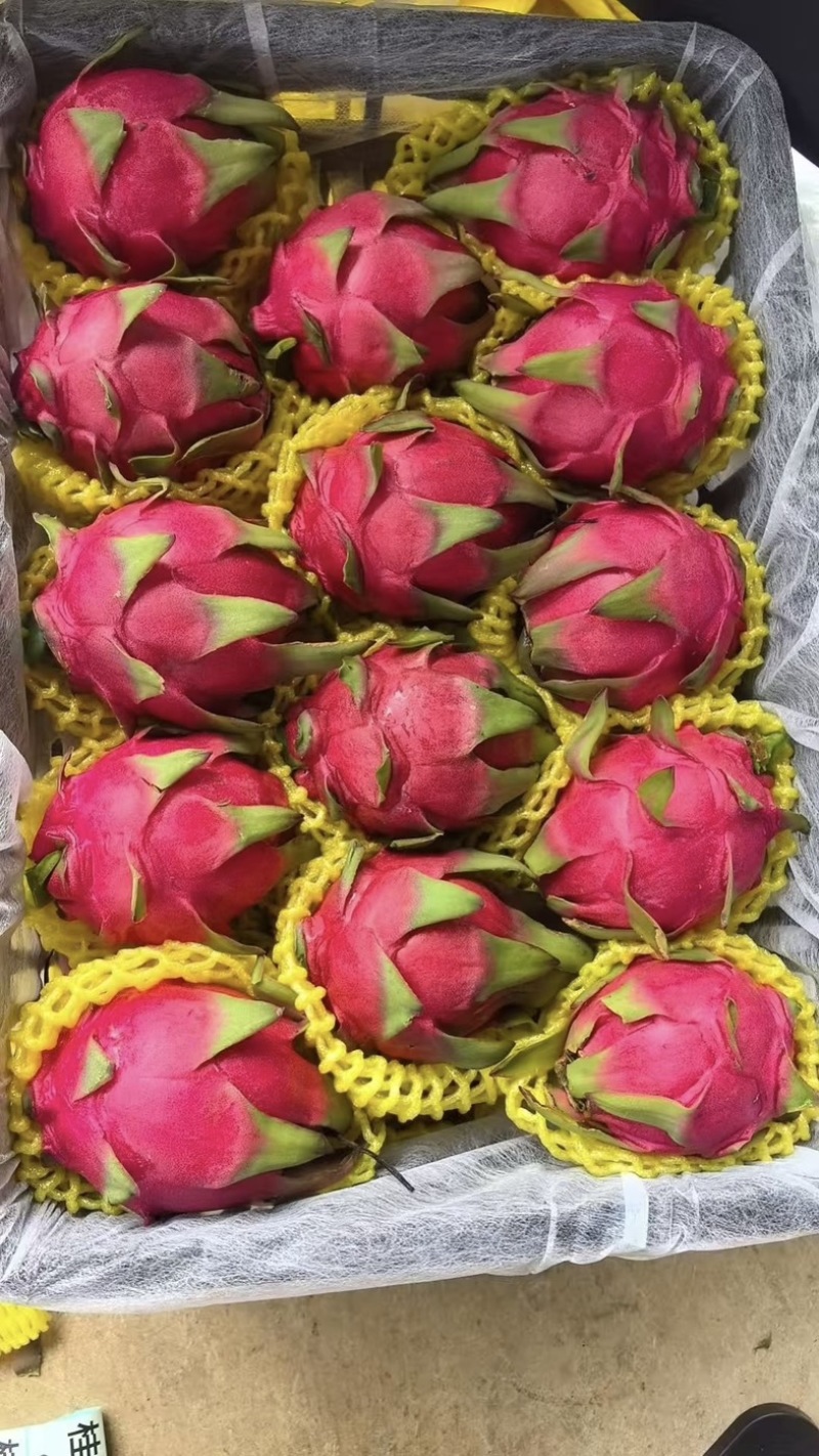 【热卖】年节礼盒果，精品一手货源，欢迎深度合作
