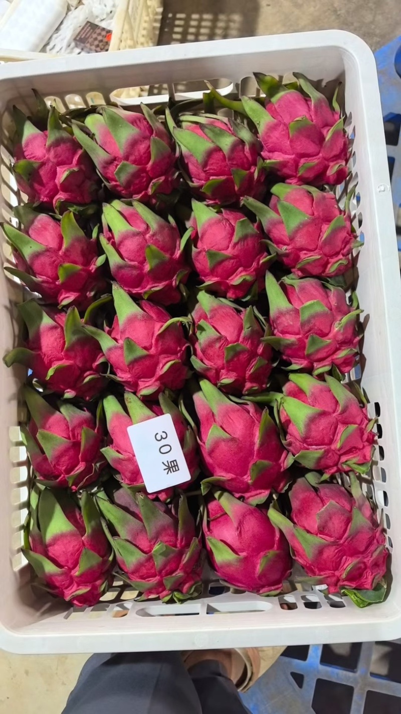 【热卖】年节礼盒果，精品一手货源，欢迎深度合作