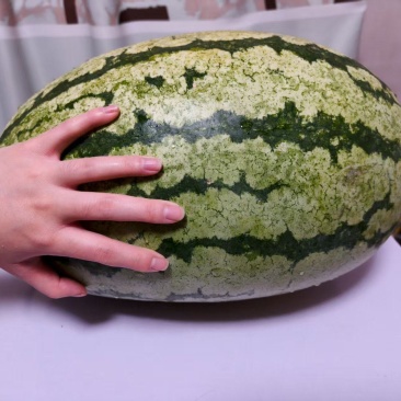 西瓜