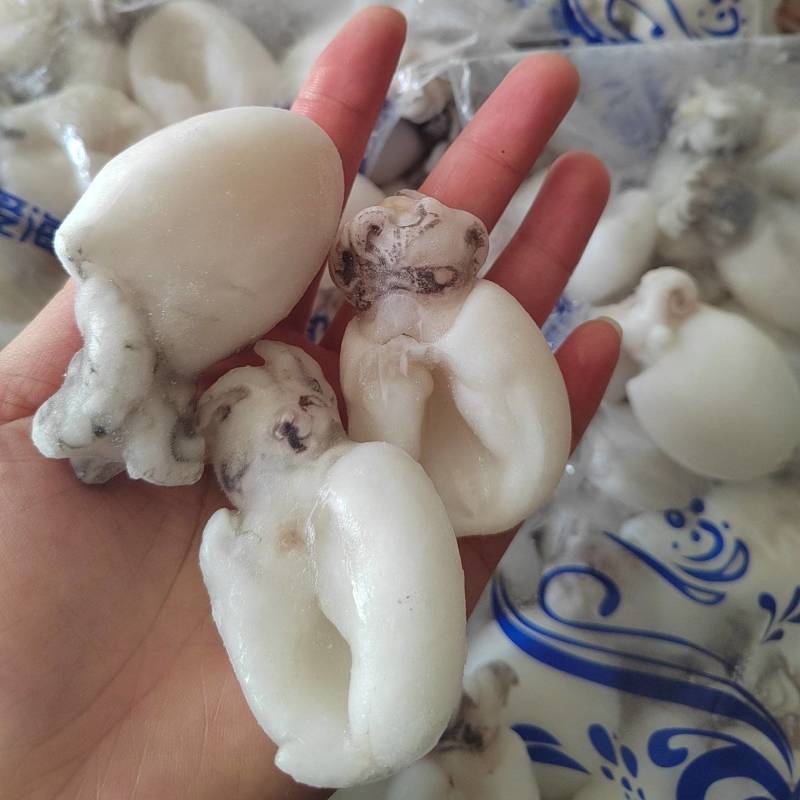 真空袋装，散装，墨鱼仔各种规格品种都有，捞汁小海鲜专用