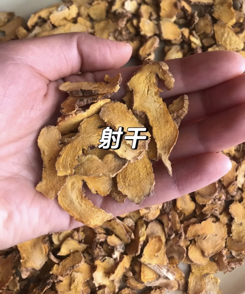 【射干】一手货源产地直销物美价廉
