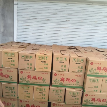 出售38斤至39斤精品