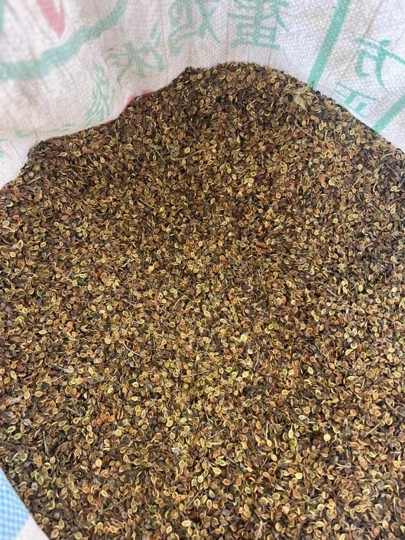 辽宁威灵仙种苗，产地一手货源，品质保证，欢迎洽谈合作