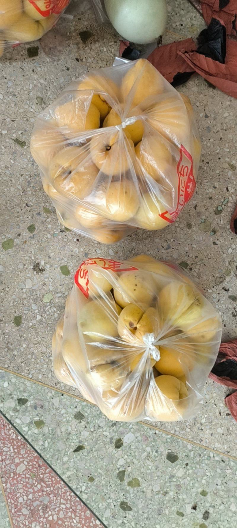娄底冷水江锦绣黄桃
