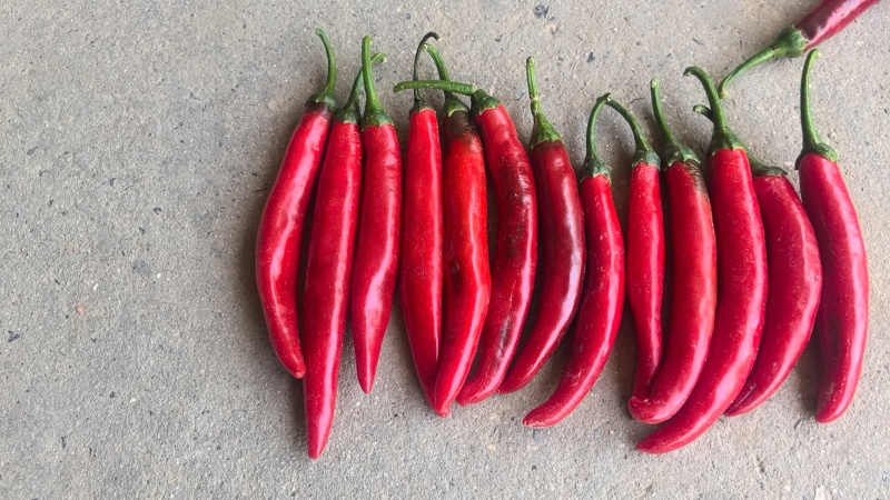 来电私聊