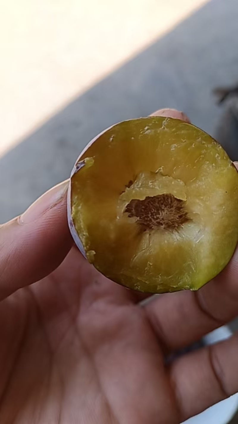 产地直销，量大从优