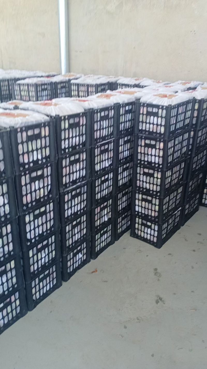 七月红梨开园了货美价廉有需要的老板抓紧时间