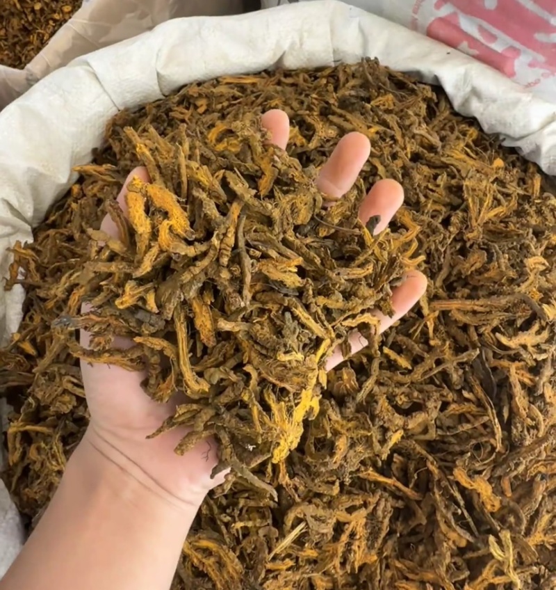 精品黄连保质保量一手货源品质保证产地直发欢迎咨询
