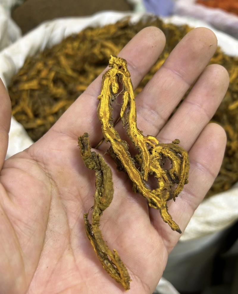 精品黄连保质保量一手货源品质保证产地直发欢迎咨询