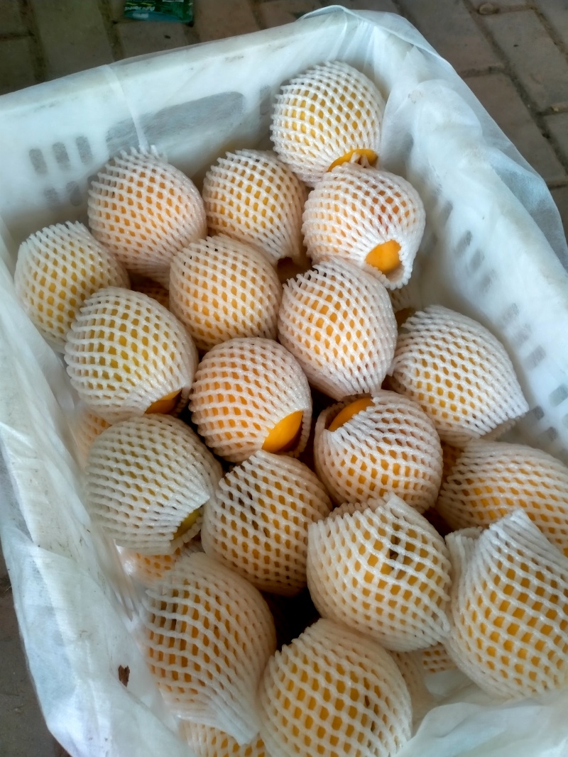 锦绣黄桃