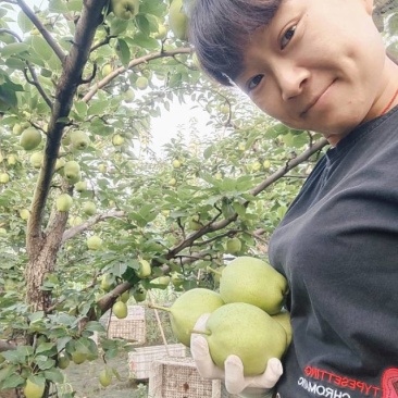 阳信早酥梨，有需要的老板直接联系，***********