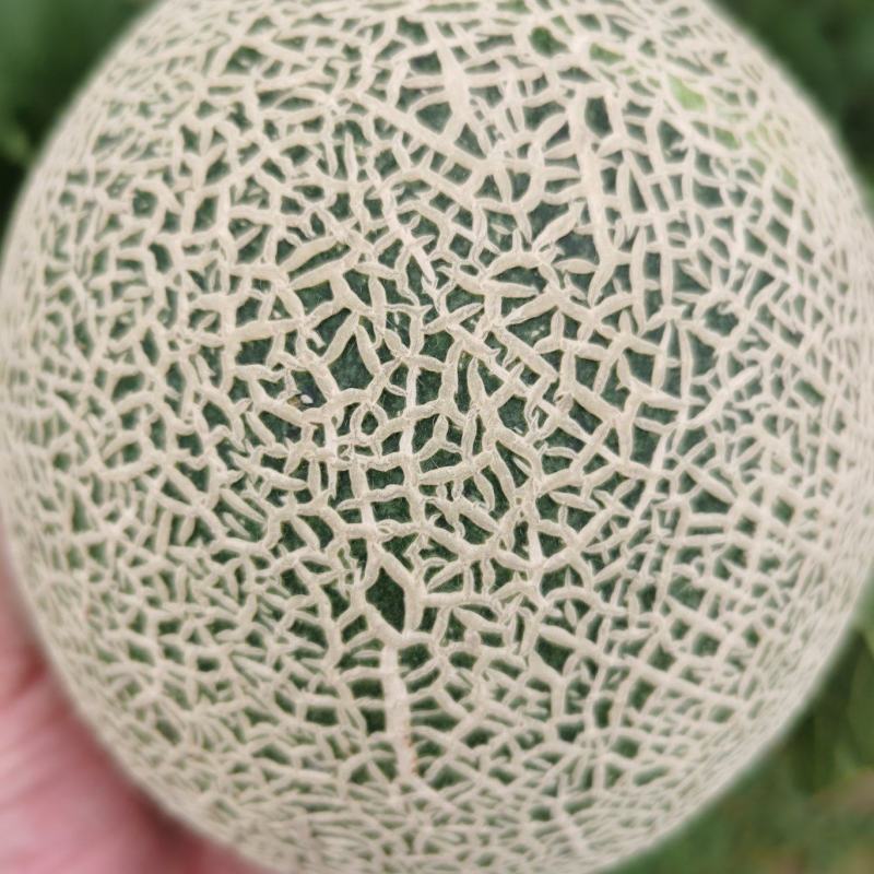 牛三
