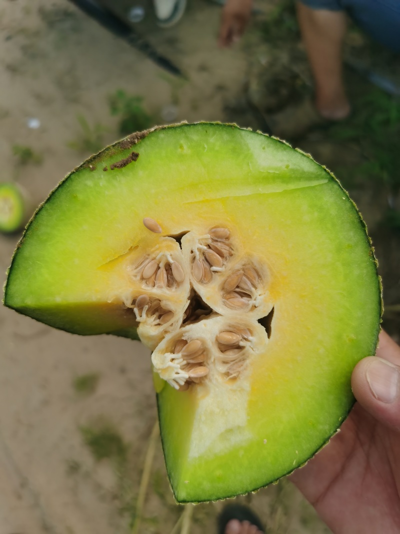 牛三