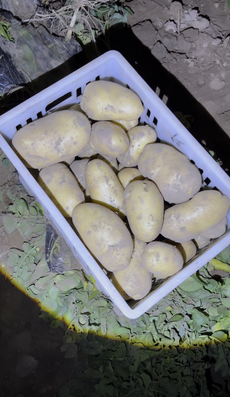 通许三优货大量开库对接市场电商，保质保量，放心采购