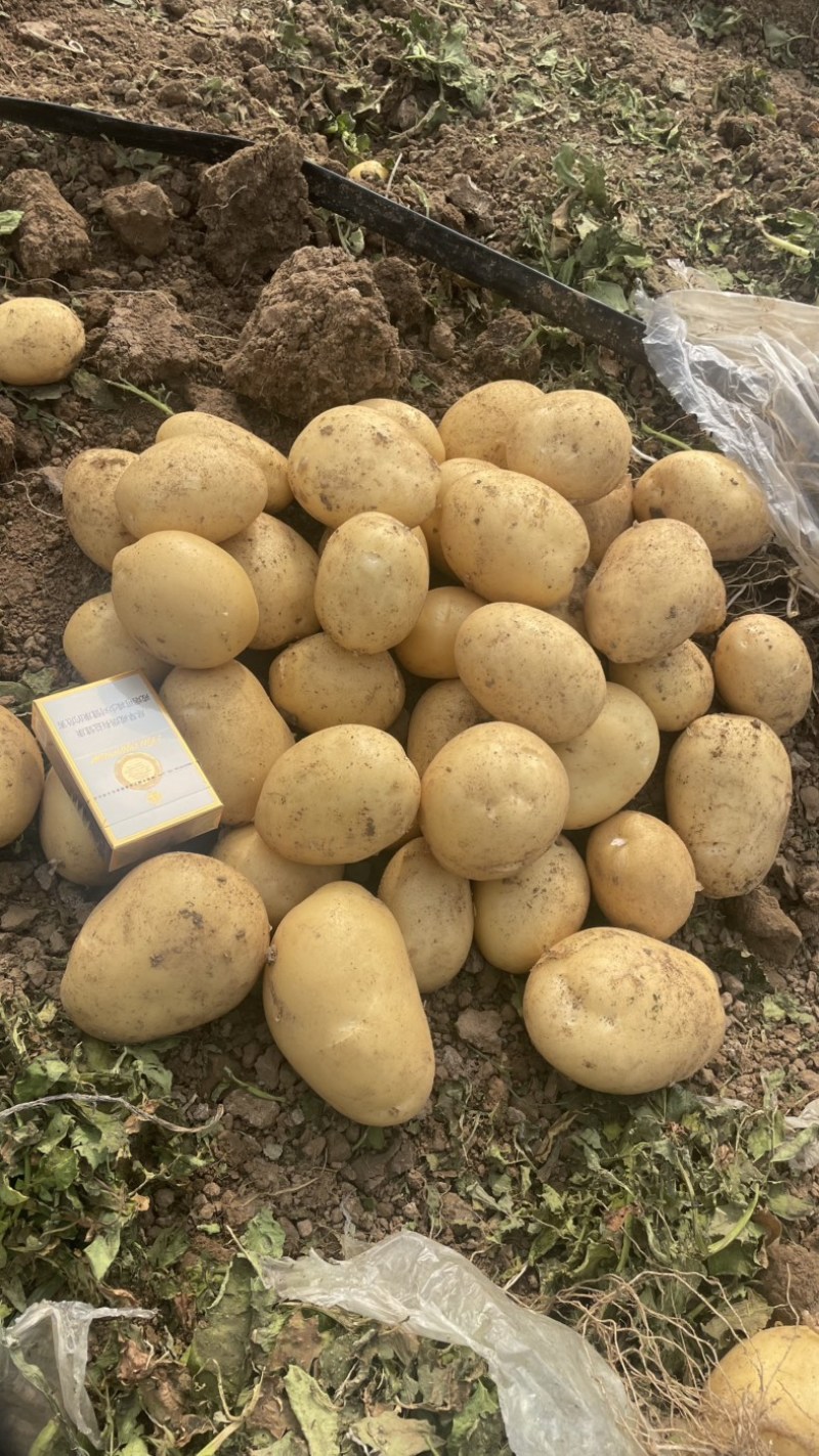 通许三优货大量开库对接市场电商，保质保量，放心采购