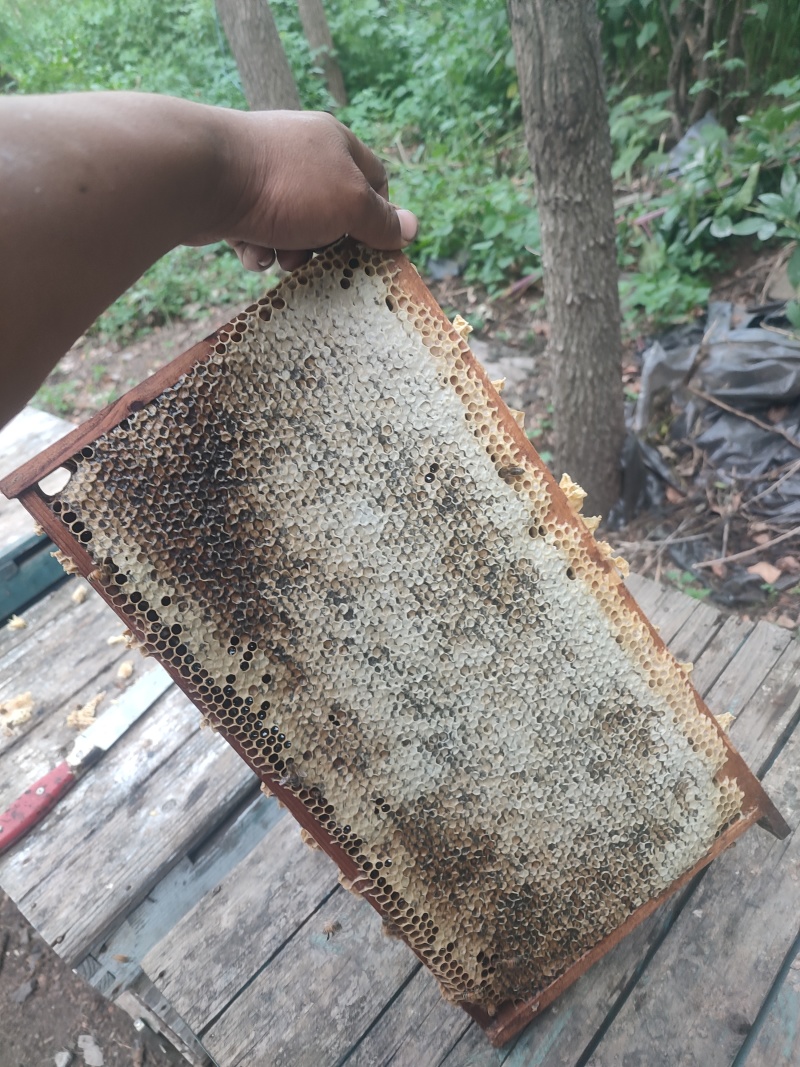 纯蜂蜜批发零售