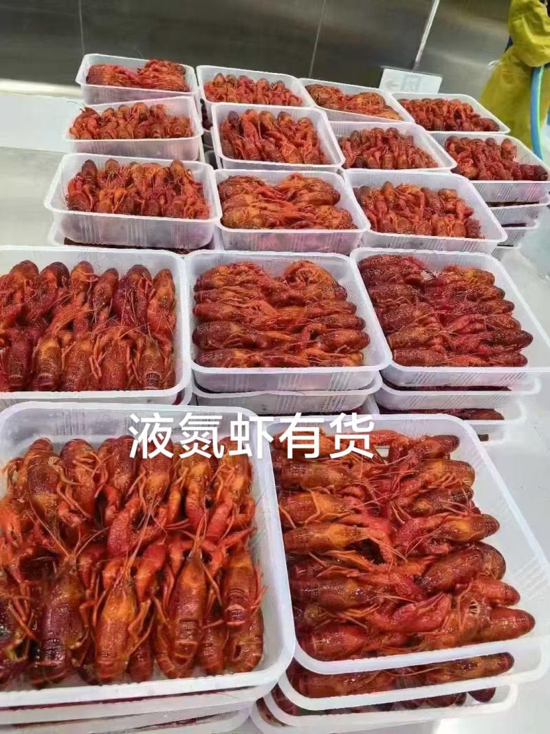 湖北潜江液氮小龙虾，液氮清水小龙虾，液氮油炸小龙虾全规格