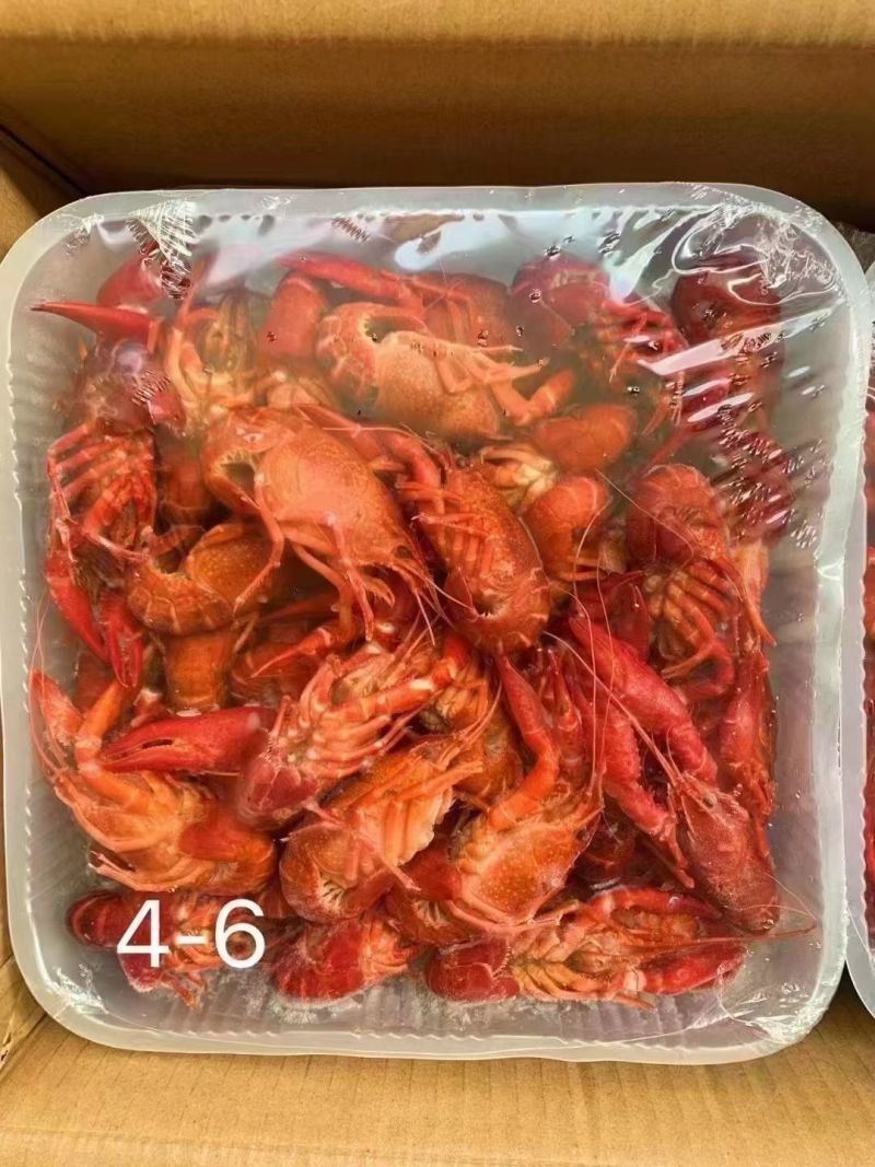 湖北潜江液氮小龙虾，液氮清水小龙虾，液氮油炸小龙虾全规格