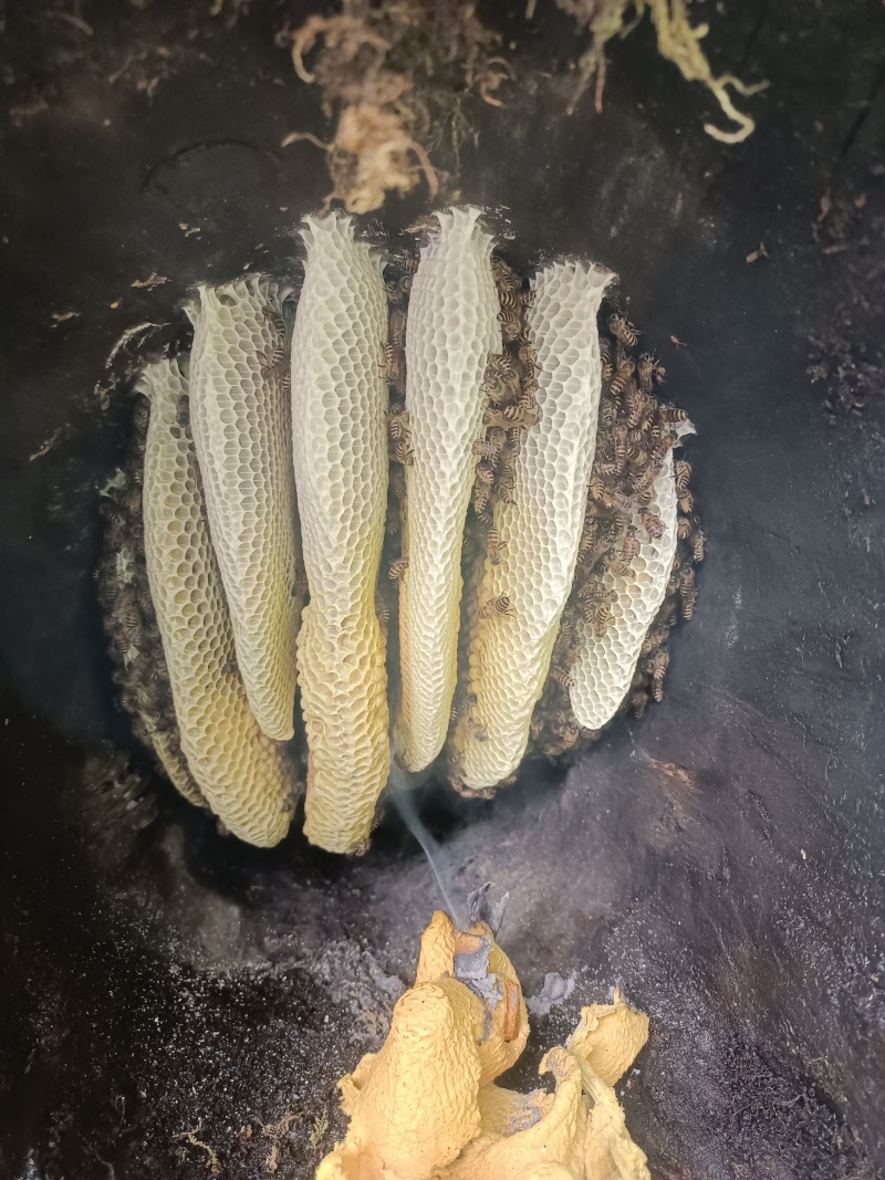 好品质才能有好销量